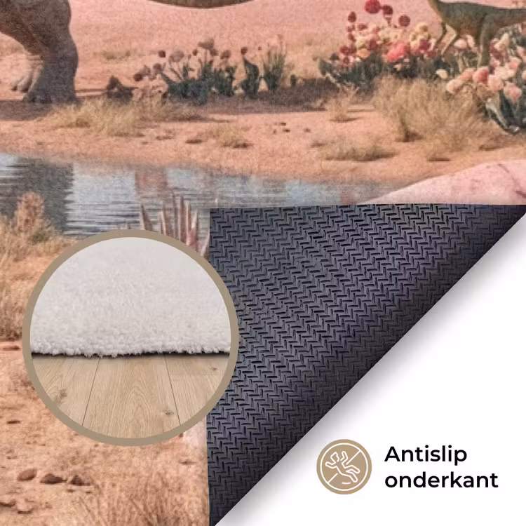 Vloerkleed - Dinosaurus - Roze - Landschap - Dinosaurus - Roze - Landschap Vloerkleed Rechthoek klein