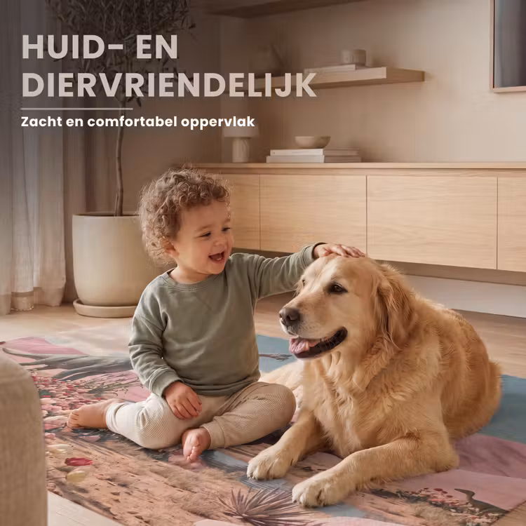 Vloerkleed - Dinosaurus - Roze - Landschap - Dinosaurus - Roze - Landschap Vloerkleed Rechthoek klein