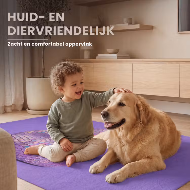 Disco - Eend - Paars Vloerkleed Rechthoek klein -uniquesellingpoint_zacht_NL