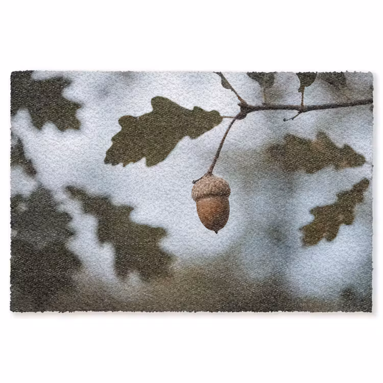 Eikel - Eikenblad - Bos - Herfst - Natuur Vloerkleed Rechthoek klein -3d