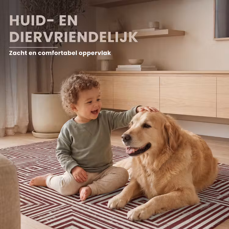 Geometrisch - Patroon - Rood Vloerkleed Rechthoek klein 1091 -uniquesellingpoint_zacht_NL