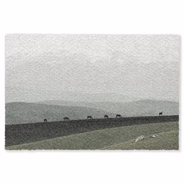 Grijs - Berg - Paarden Vloerkleed Rechthoek klein -3d
