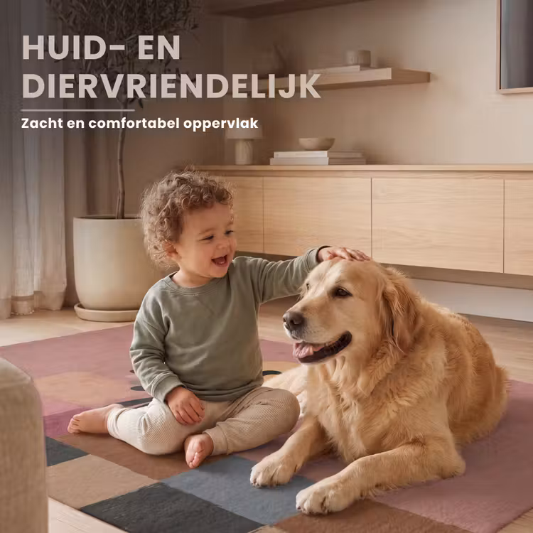 Illustratie - Vogel - Vlakken - Kleurrijk Vloerkleed Rechthoek klein -uniquesellingpoint_zacht_NL