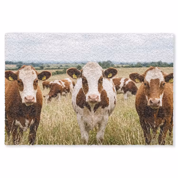 Koeien - Portret - Weide - Boerderij - Nieuwsgierig Vloerkleed Rechthoek klein -3d