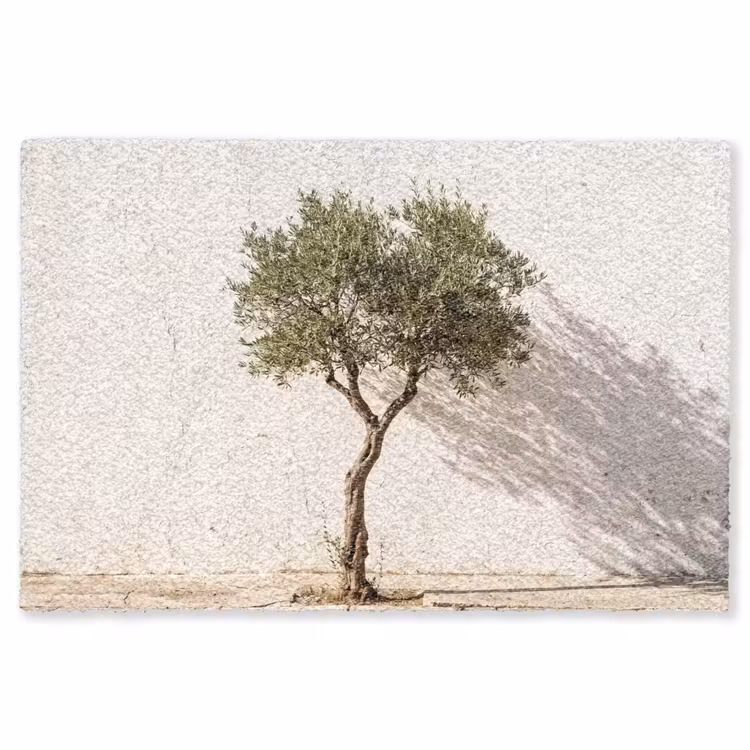 Vloerkleed - Olijfboom - muur - wit - Olijfboom - muur - wit Vloerkleed Rechthoek klein