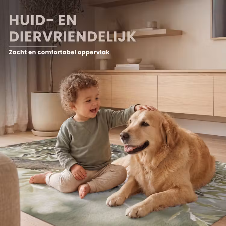 Vloerkleed - Olijfboom - tak - groen - Olijfboom - tak - groen Vloerkleed Rechthoek klein