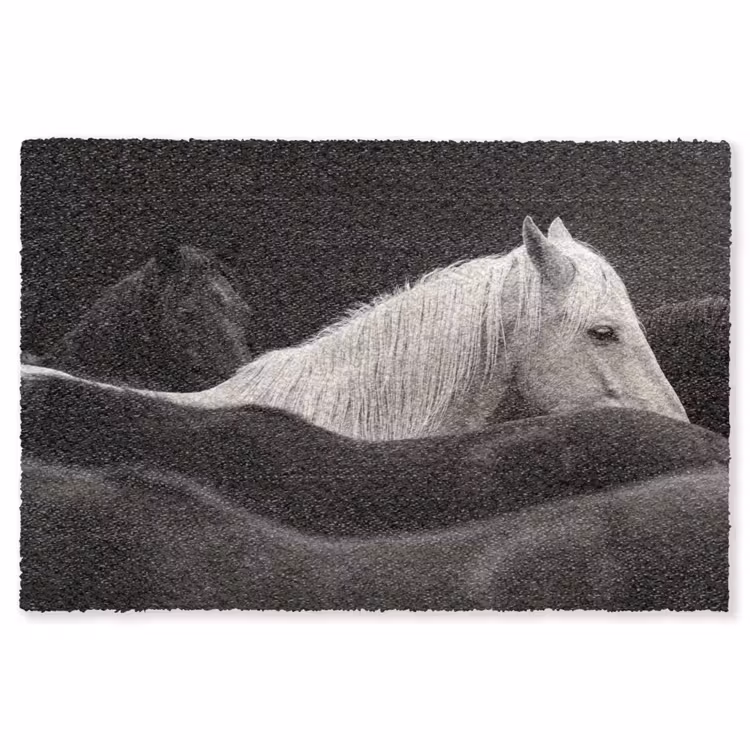 Paarden - Zwart - Wit - Kudde Vloerkleed Rechthoek klein -3d