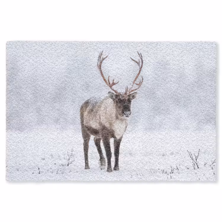 Rendier - Gewei - Toendra - Sneeuw - Wild Vloerkleed Rechthoek klein -3d