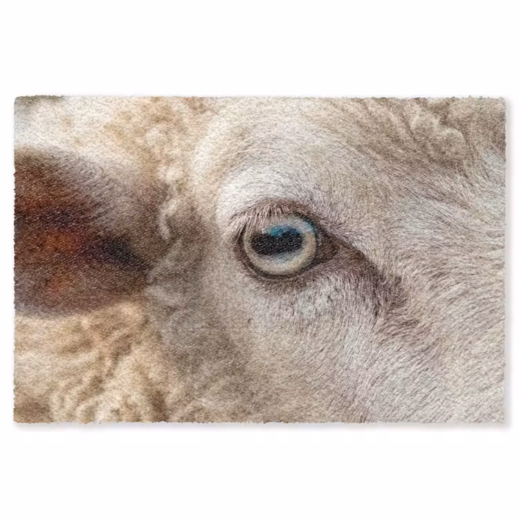 Schaap - Oog - Wit Vloerkleed Rechthoek klein -3d