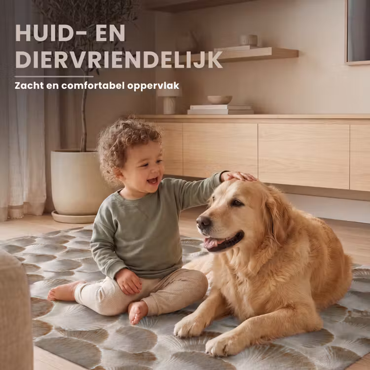 Schelpen - Waaiervorm - Wit Vloerkleed Rechthoek klein 1091 -uniquesellingpoint_zacht_NL