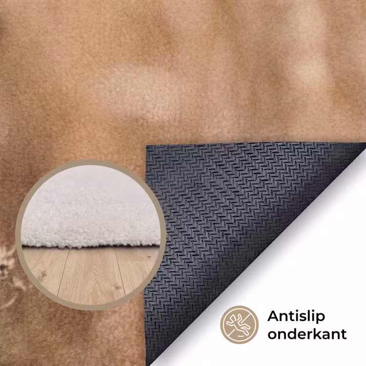 Schermbloem - Droogbloem - Winter - Beige - Minimalistisch Vloerkleed Rechthoek klein -uniquesellingpoint_antislip_NL
