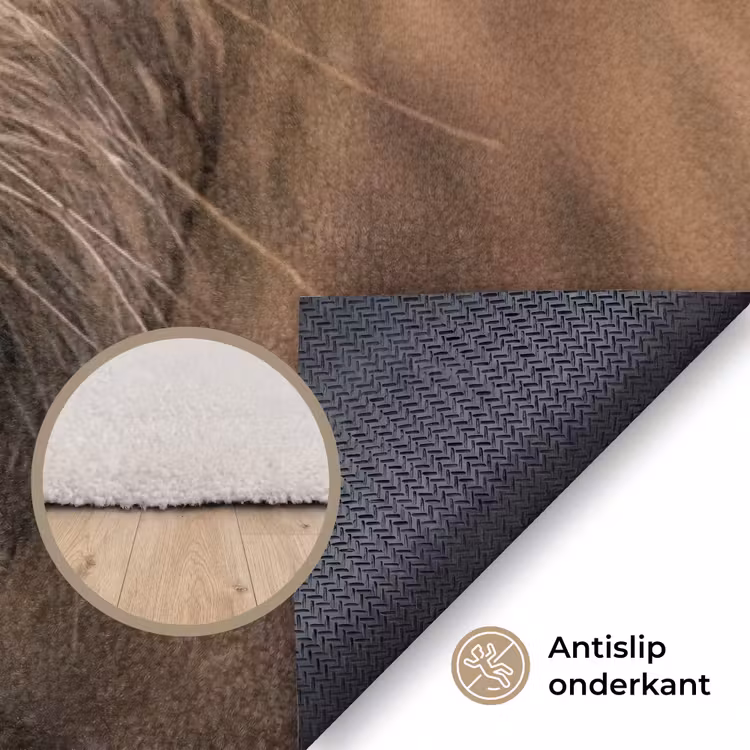 Schotse hooglander - Neus - Bruin Vloerkleed Rechthoek klein -uniquesellingpoint_antislip_NL_DE