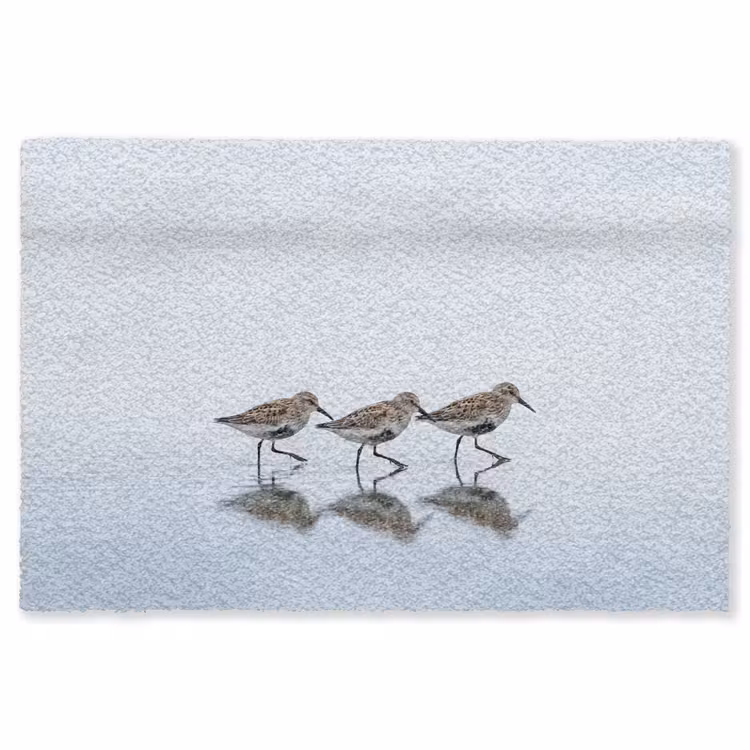 Vogels - Water - Grijs Vloerkleed Rechthoek klein -3d