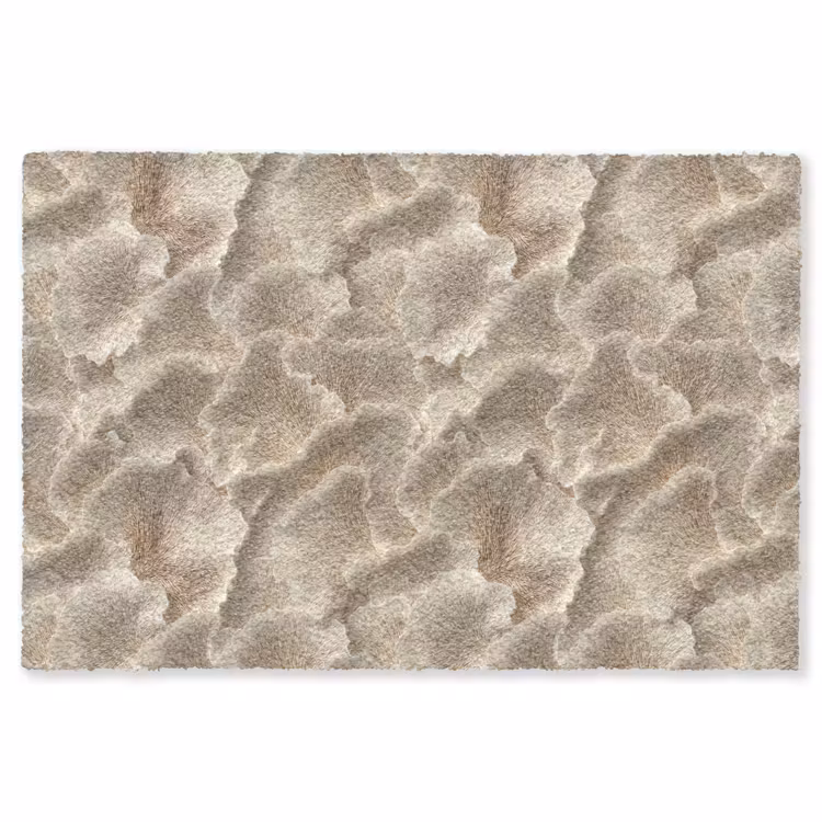 Waaierstructuren - Beige - Vezeltextuur Vloerkleed Rechthoek klein 1091 -3d