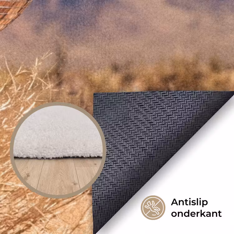 Vloerkleed - Woestijn - Spiegelbal - Kunst - Woestijn - Spiegelbal - Kunst Vloerkleed Rechthoek klein