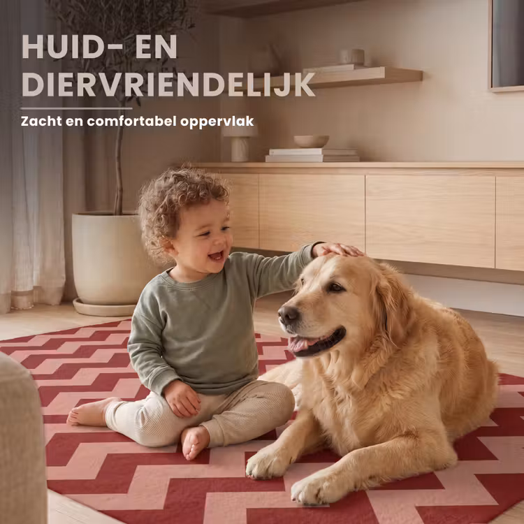 Zigzag - Strepen - Patroon - Rood Vloerkleed Rechthoek klein -uniquesellingpoint_USP_zachtNL_DE