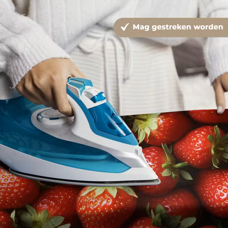 Aardbei - Fruit - Rood Wandkleed katoen klein -sfeer9