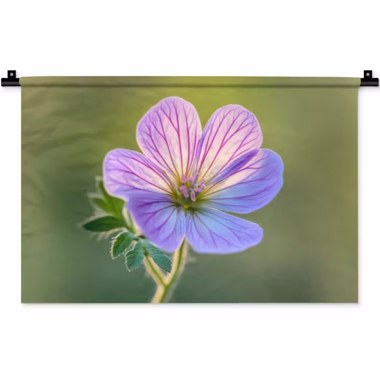 Bloem - Close up - Paars Wandkleed katoen klein -zz3d