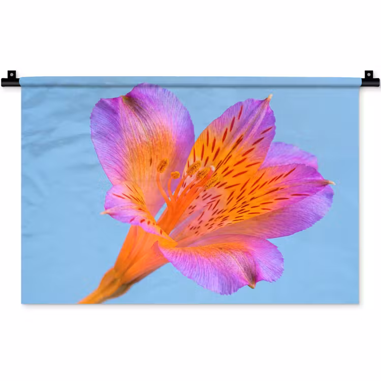 Bloem - Detail - Kleurrijk Wandkleed katoen klein -zz3d