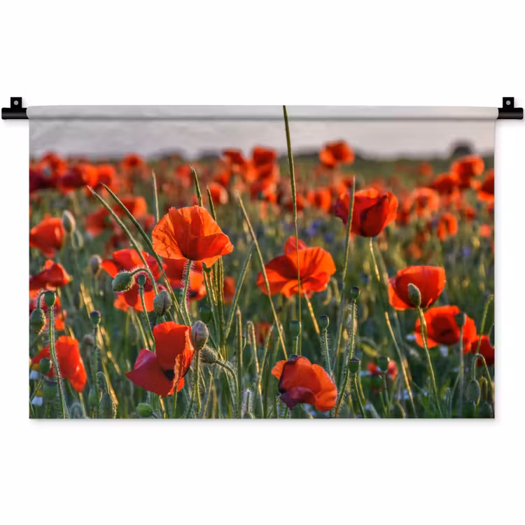 Bloemen - Klaprozen - Natuur - Rood Wandkleed katoen klein -zz3d