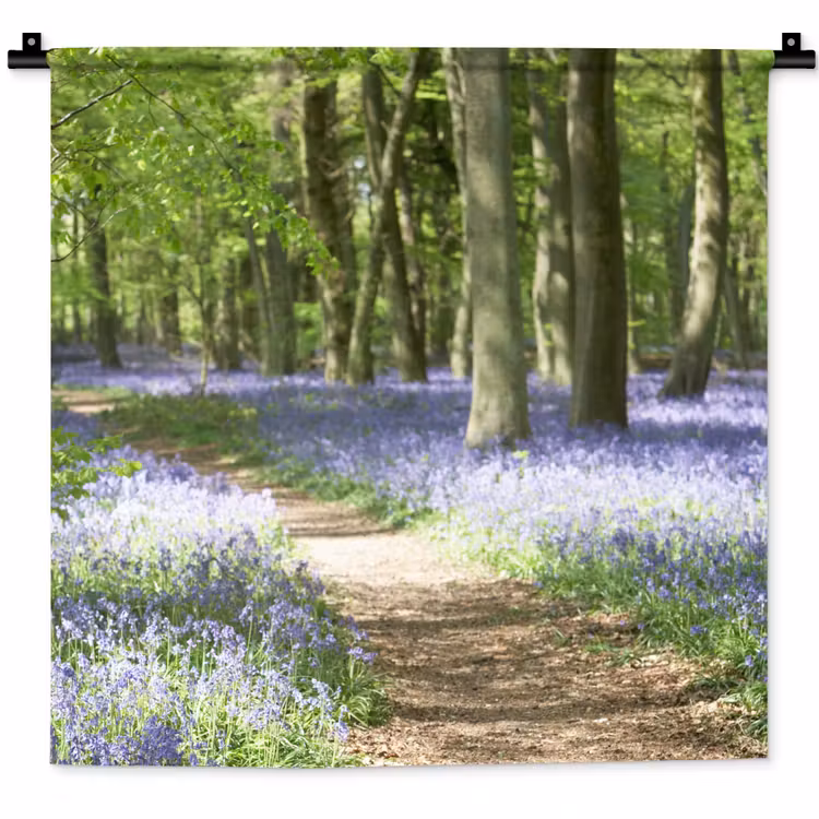 Bos - Pad - Bloemen - Paars - Groen - Natuur Wandkleed katoen klein -zz3d