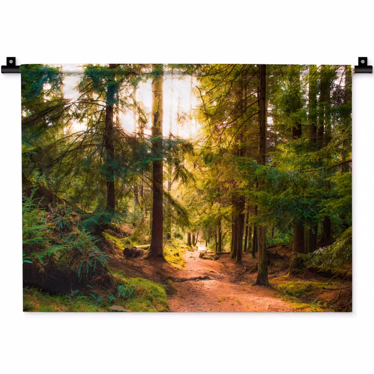 Bos - Pad - Bomen - Groen - Zon - Natuur Wandkleed katoen klein -zz3d
