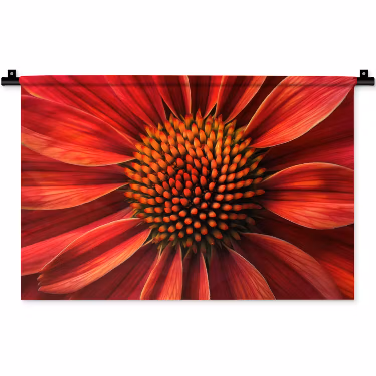 Close up - Bloem- Rood Wandkleed katoen klein -zz3d