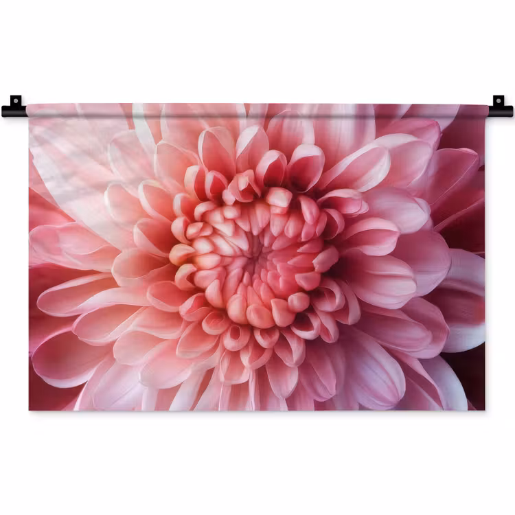 Dahlia - Bloem - Close up - Roze Wandkleed katoen klein -zz3d