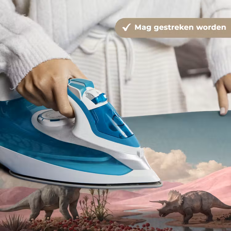 Wandkleed - Dinosaurus - Roze - Landschap - Dinosaurus - Roze - Landschap Wandkleed katoen klein