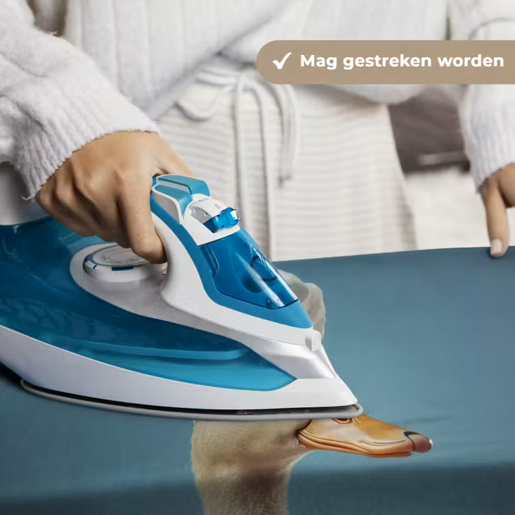 Eend - Koksmuts - Cute - Vogel Wandkleed katoen klein -sfeer9