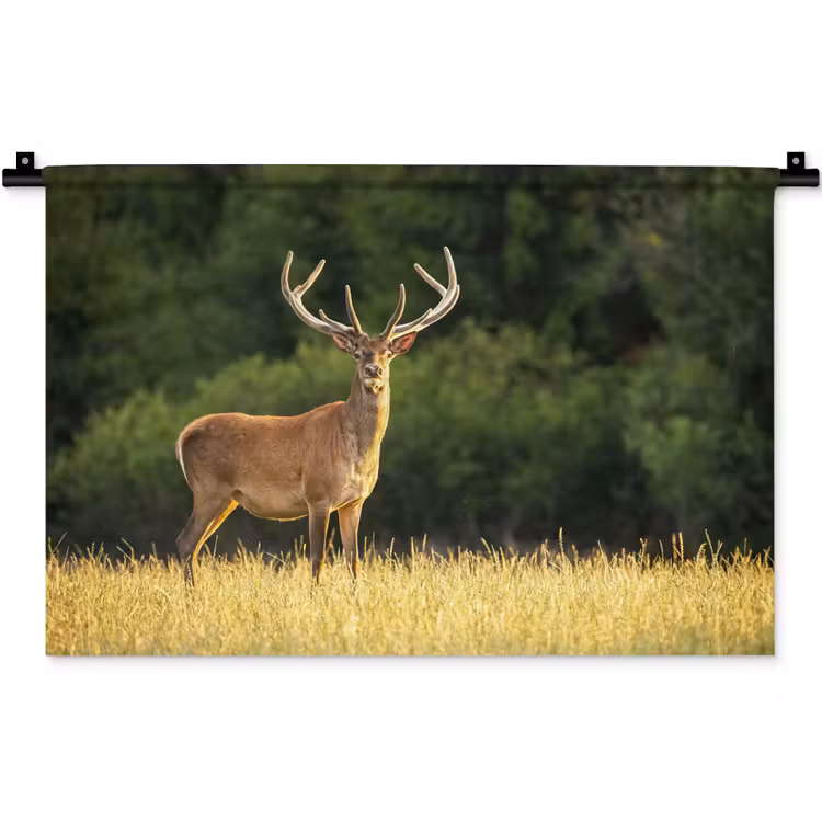 Hert - Gewei - Gras - Natuur - Dieren - Groen Wandkleed katoen klein -zz3d
