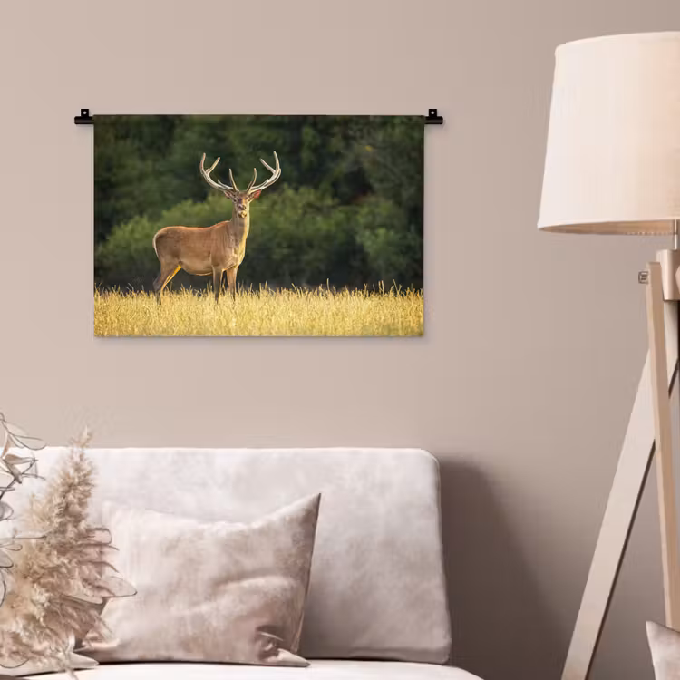 Hert - Gewei - Gras - Natuur - Dieren - Groen Wandkleed katoen klein -sfeer4