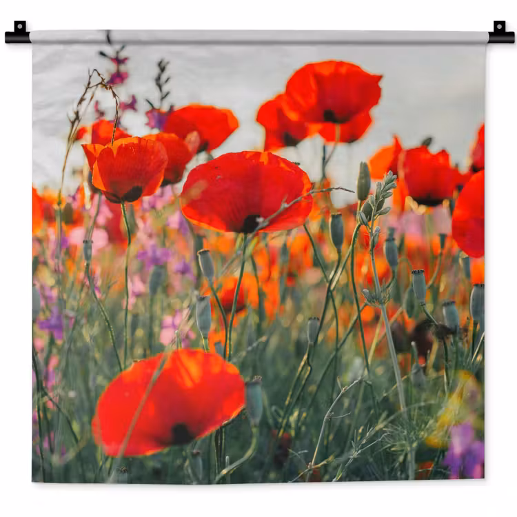 Klaproos - Bloemen - Rood - Paars - Weide Wandkleed katoen klein -zz3d