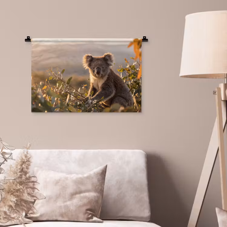 Koala - Bladeren - Ochtendlicht Wandkleed katoen klein -sfeer4