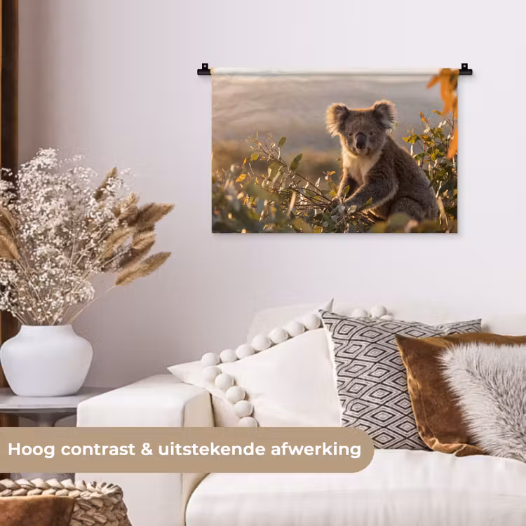 Koala - Bladeren - Ochtendlicht Wandkleed katoen klein -sfeer1