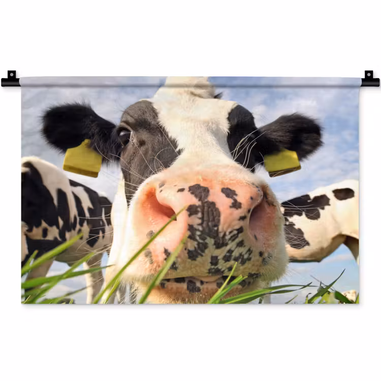 Koe - Boerderij - Gras - Dieren Wandkleed katoen klein -zz3d