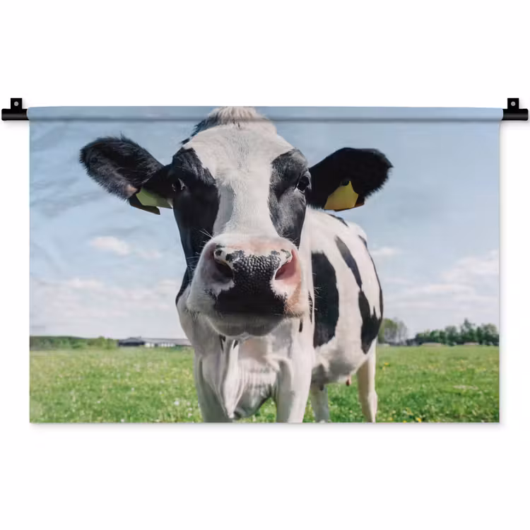 Koe - Weiland - Natuur - Dieren - Gras Wandkleed katoen klein -zz3d