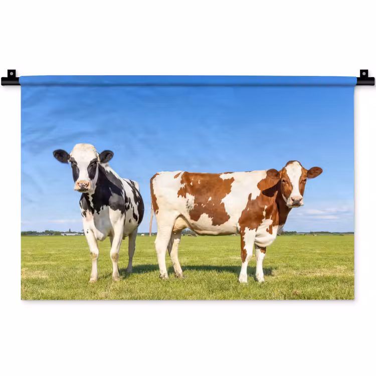 Koeien - Boerderij - Gras- Natuur - Dieren Wandkleed katoen klein -zz3d
