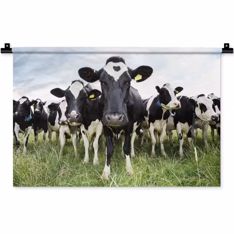 Koeien - Gras - Lente - Dieren - Weiland - Boerderij Wandkleed katoen klein -zz3d