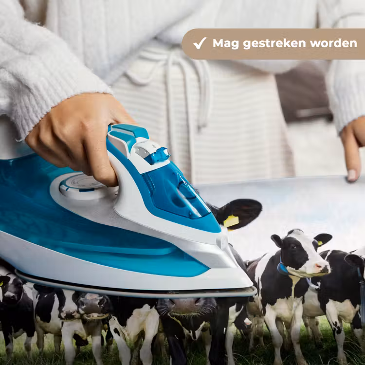 Koeien - Gras - Lente - Dieren - Weiland - Boerderij Wandkleed katoen klein -sfeer9