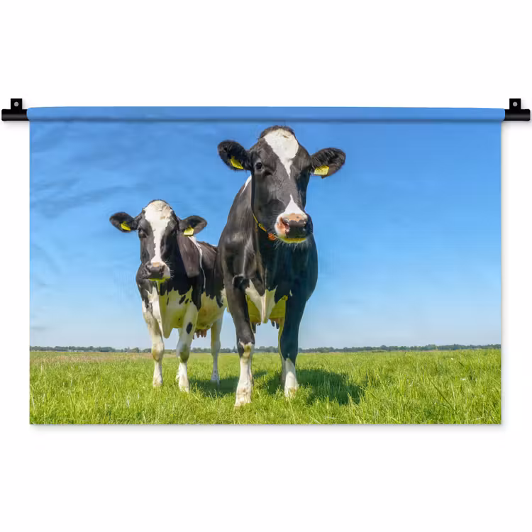 Koeien - Weiland - Gras - Dieren - Boerderij Wandkleed katoen klein -zz3d