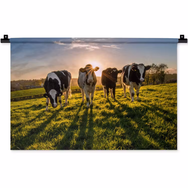 Koeien - Zon - Gras - Dieren - Boerderij Wandkleed katoen klein -zz3d