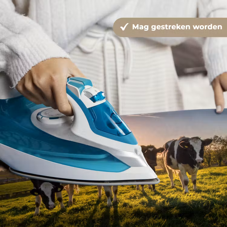 Koeien - Zon - Gras - Dieren - Boerderij Wandkleed katoen klein -sfeer9