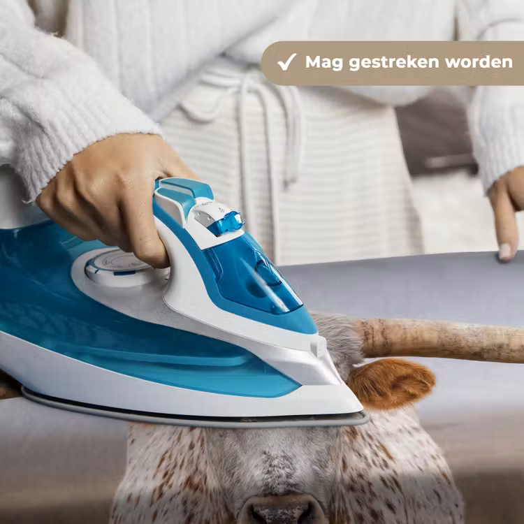 Longhorn - Grasveld - Dier Wandkleed katoen klein -sfeer9