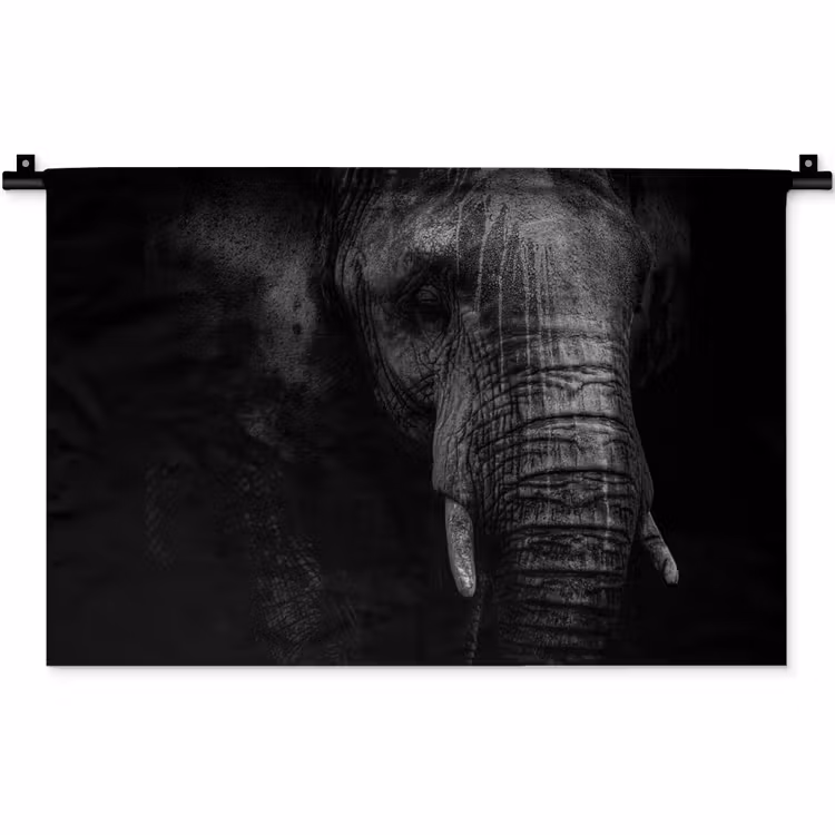 Olifant - Dier - Portret Wandkleed katoen klein -zz3d