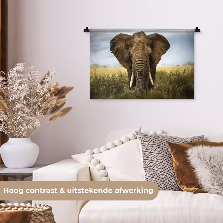 Olifant - Natuur - Gras - Dieren - Landschap Wandkleed katoen klein -sfeer1