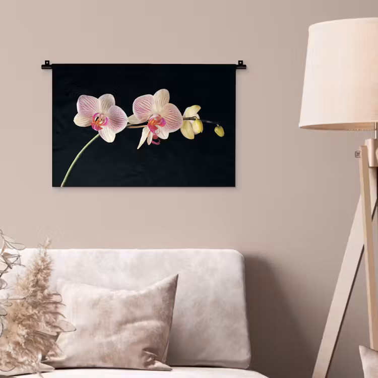 Orchidee - Bloemen - Zwart - Roze - Knoppen Wandkleed katoen klein -sfeer4