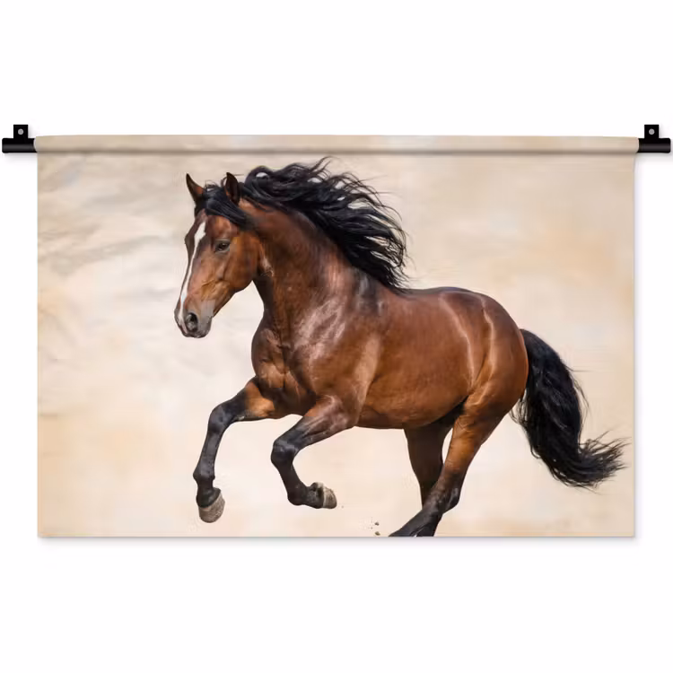 Paard - Galop - Energie Wandkleed katoen klein -zz3d