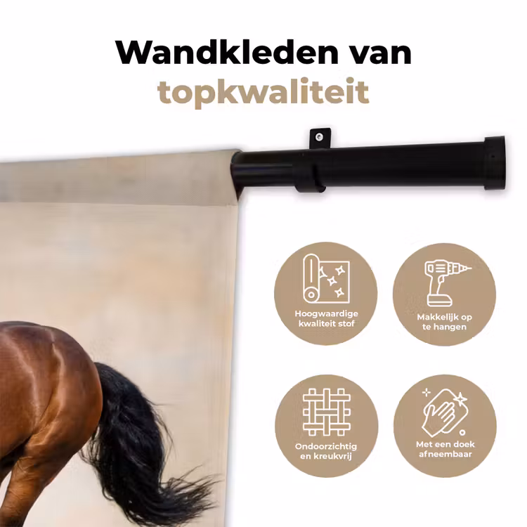 Paard - Galop - Energie Wandkleed katoen klein -sfeer2