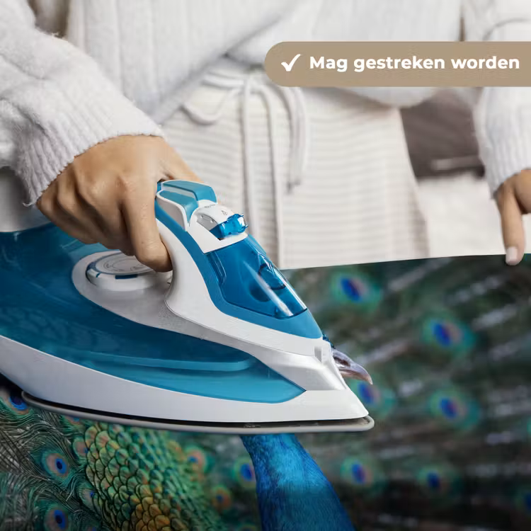 Pauw - Veren - Blauw Wandkleed katoen klein -sfeer9